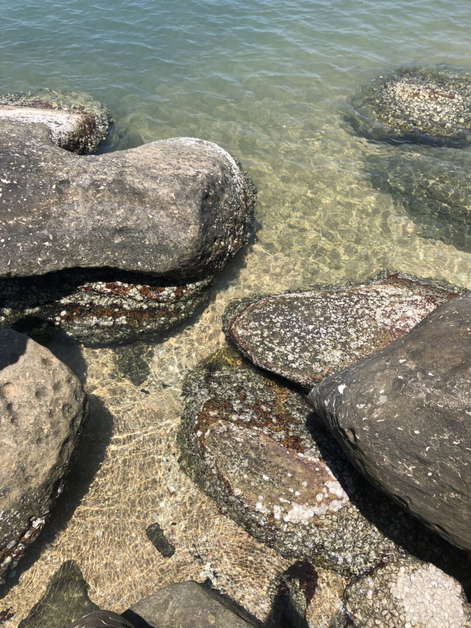 201908211015021566325270714739.jpg