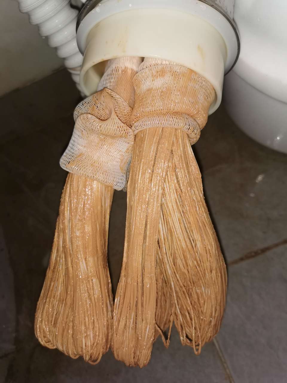 20190821_129984_1566355778227.jpg