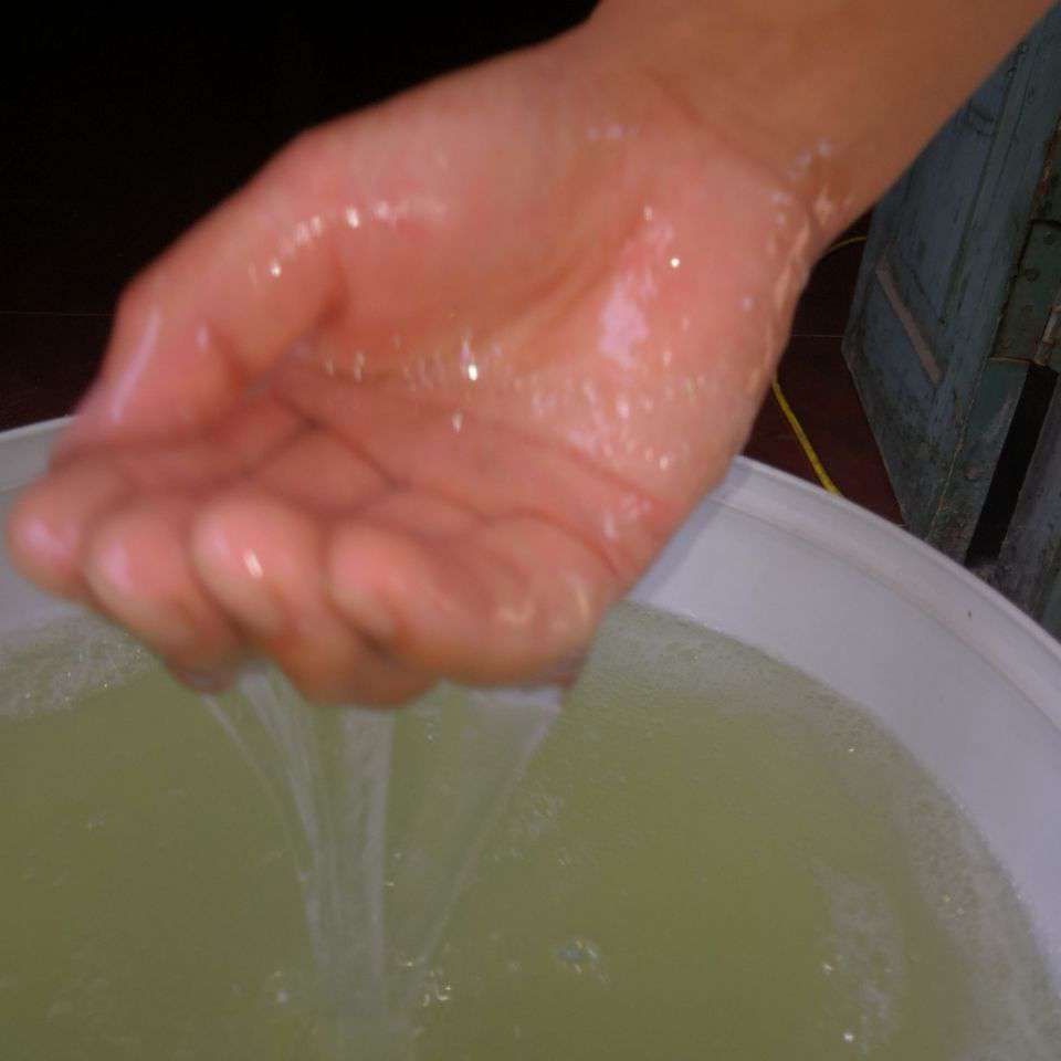 20190822_144493_1566429496136.jpg