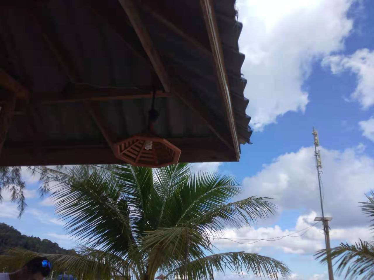 20190822_125992_1566445075739.jpg