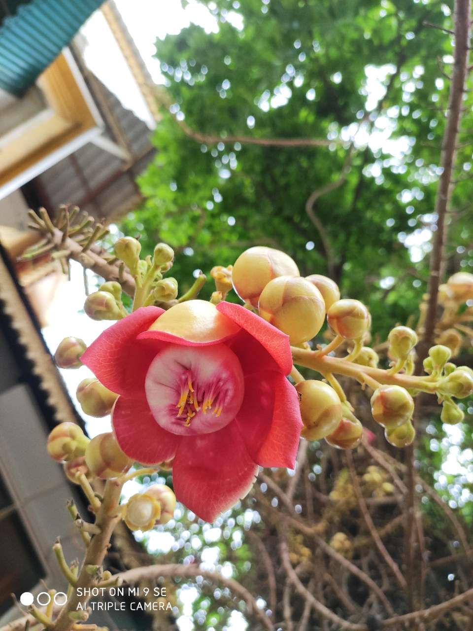 20190825_140073_1566728165464.jpg