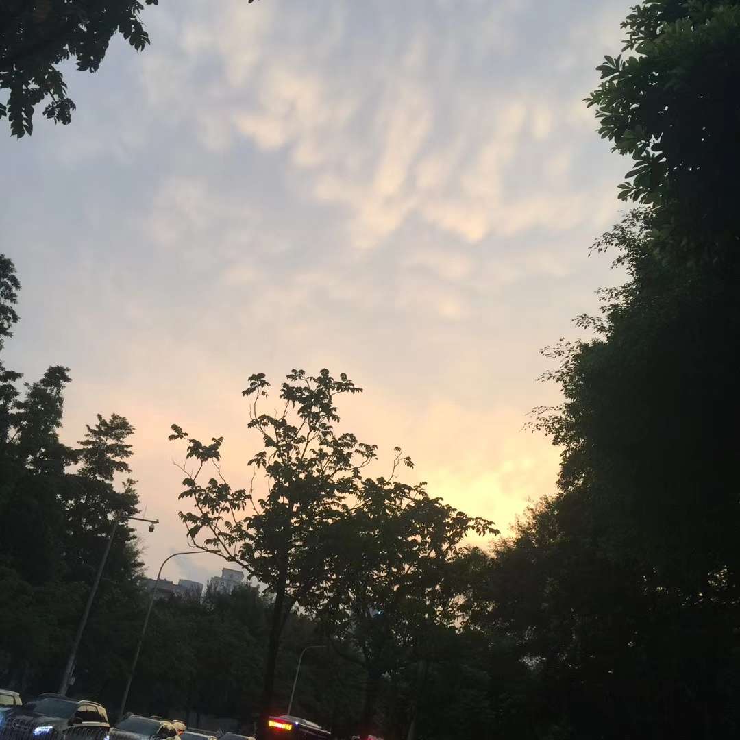 20190828_138585_1566971962212.jpg