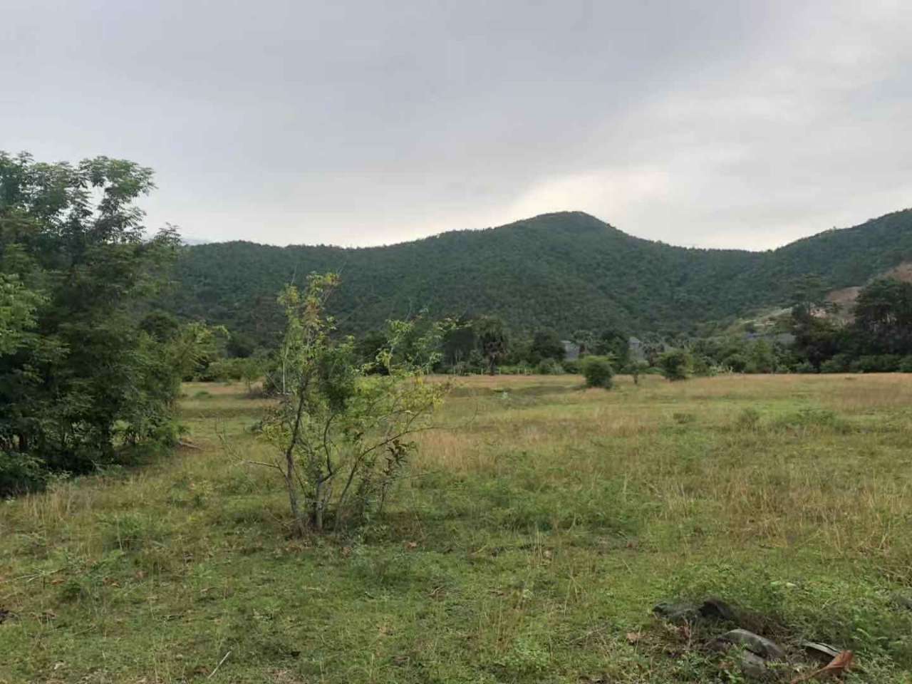 20190902_120774_1567394787437.jpg