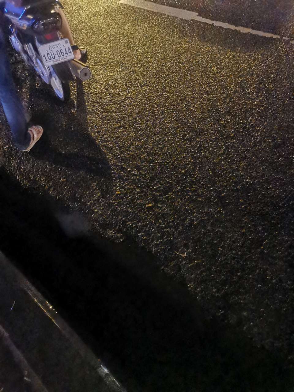 20190903_141945_1567461714645.jpg