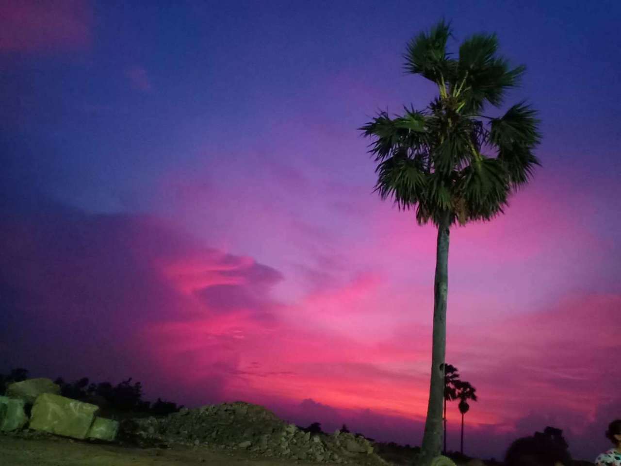 20190904_101768_1567568269834.jpg