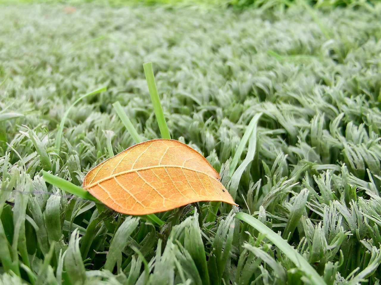 20190909_127250_1567978815952.jpg