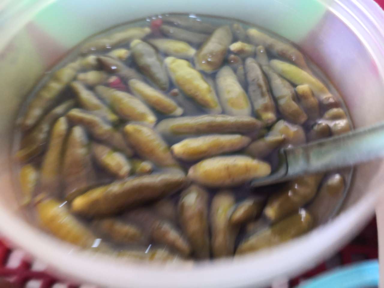 20190910_114004_1568105468913.jpg