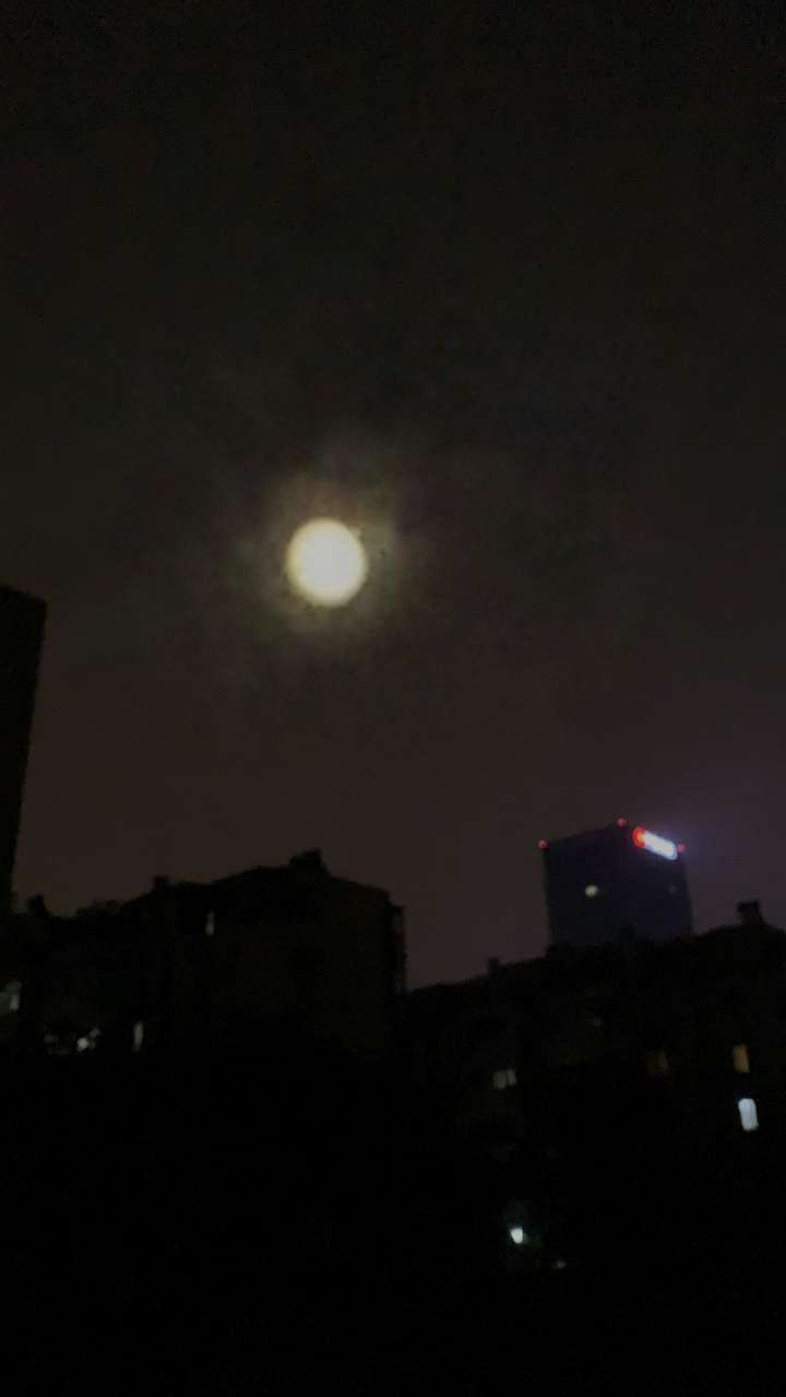 20190914_114004_1568426973106.jpg