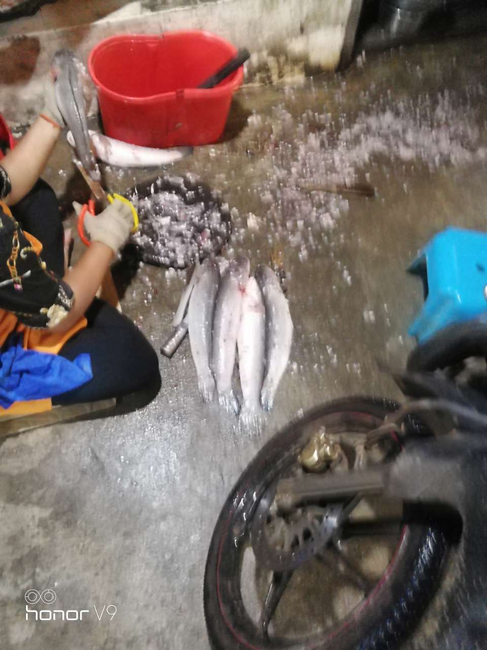 20190918_130187_1568816261786.jpg