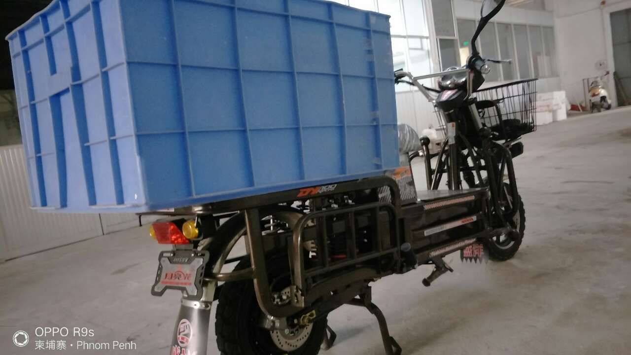 预售载重王二轮电动车