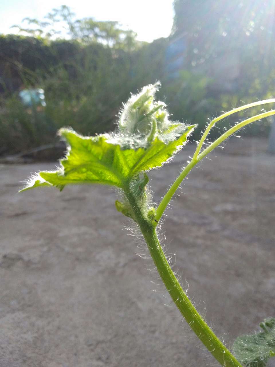 20190920_116790_1568987463381.jpg