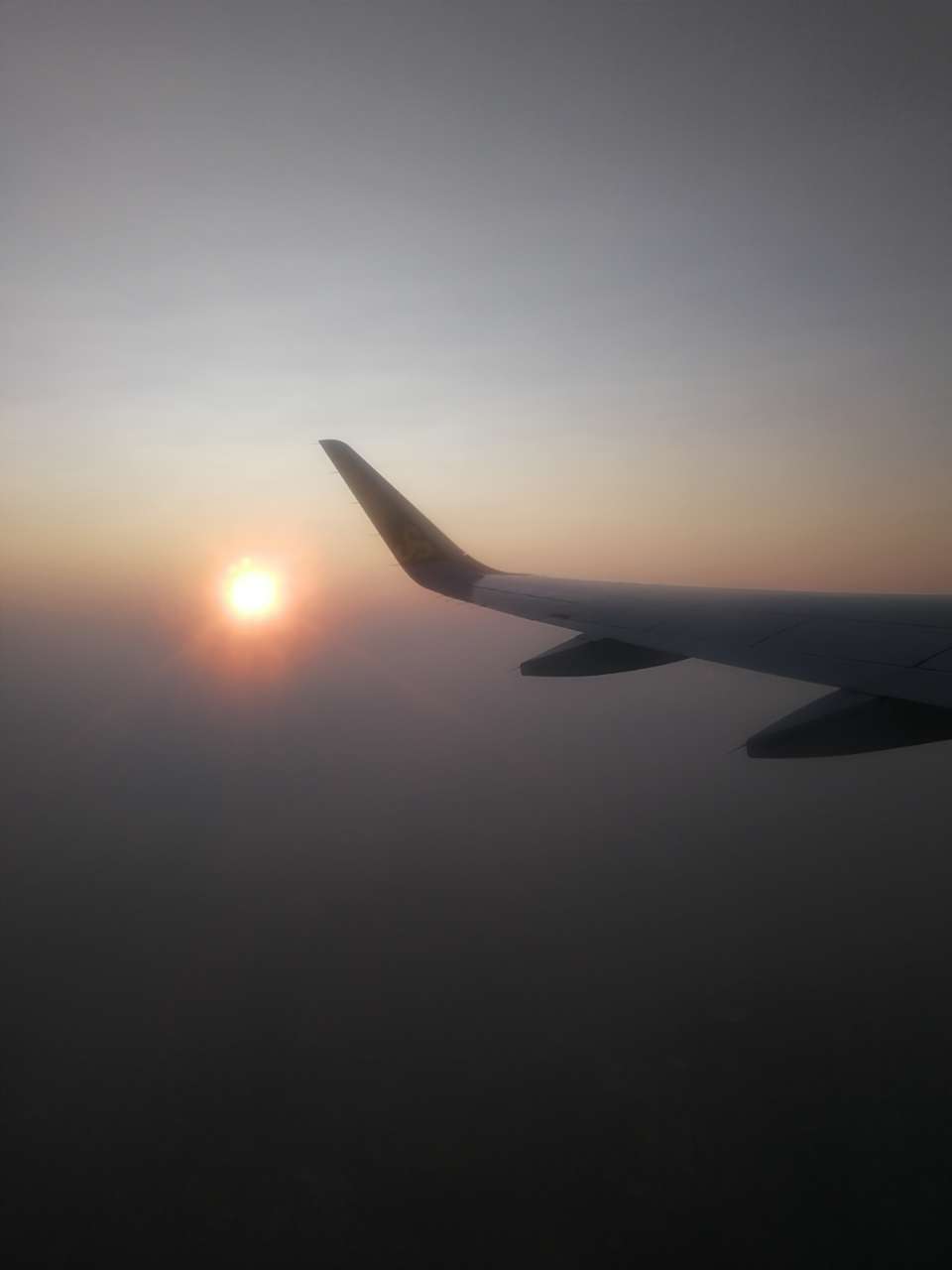 20190922_143682_1569146329718.jpg