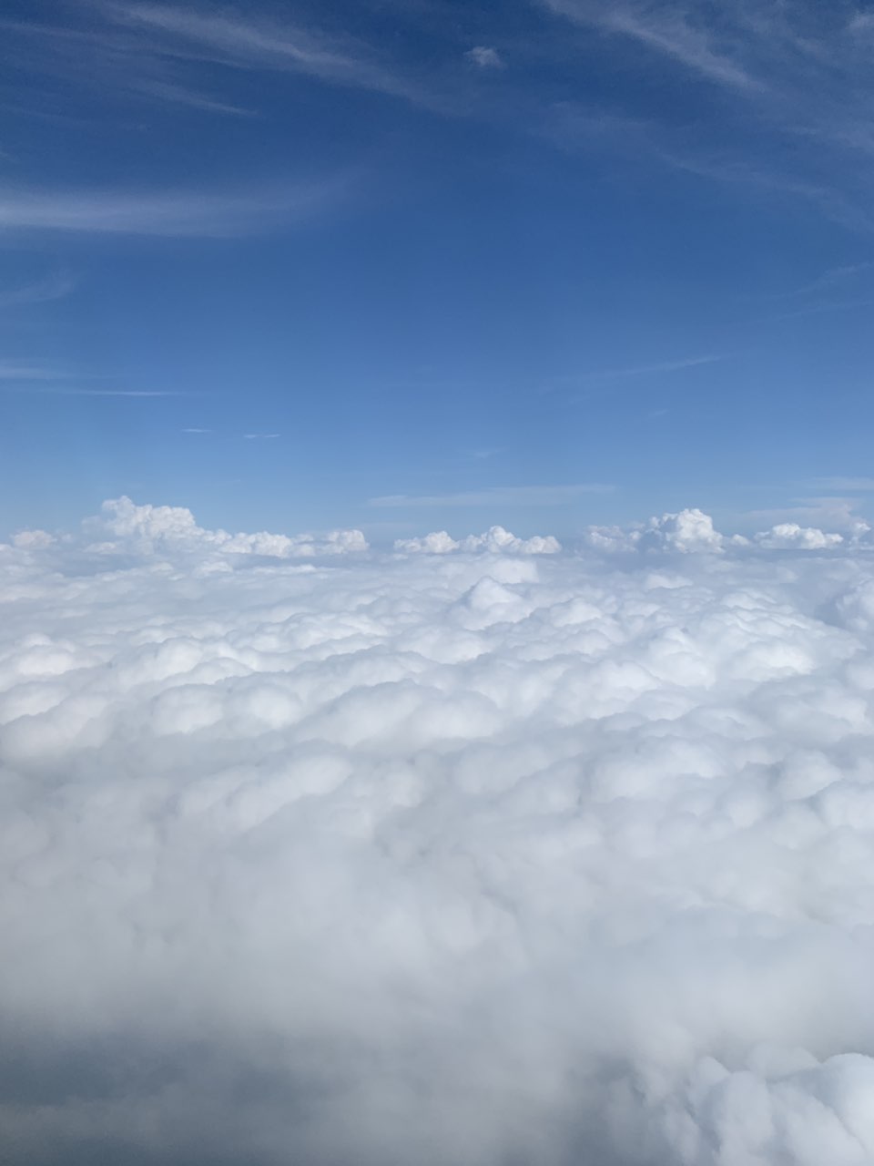 201909241539311569314772771193.jpg