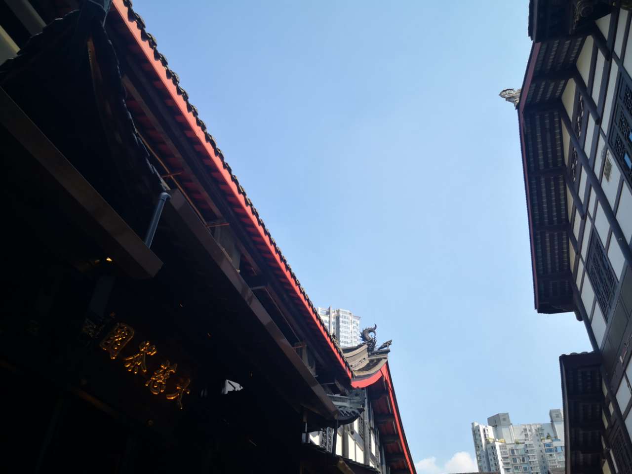 20190926_114004_1569489560105.jpg
