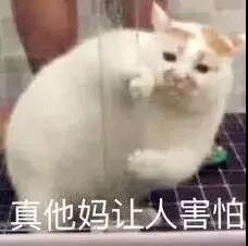 微信图片_20190926185411.jpg