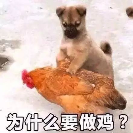微信图片_20190926185434.jpg