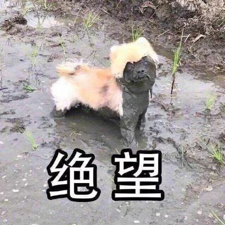 微信图片_20190926185431.jpg