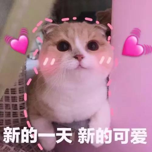 微信图片_20190929183139.jpg