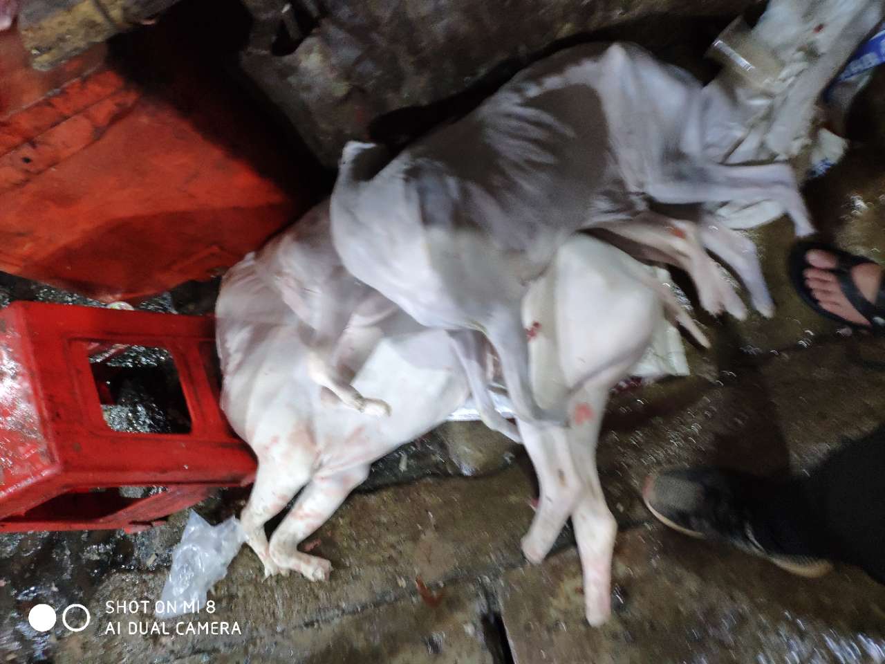 国人为什么坑国人：这样的肉都卖这么贵，还不如去抢-1.jpg
