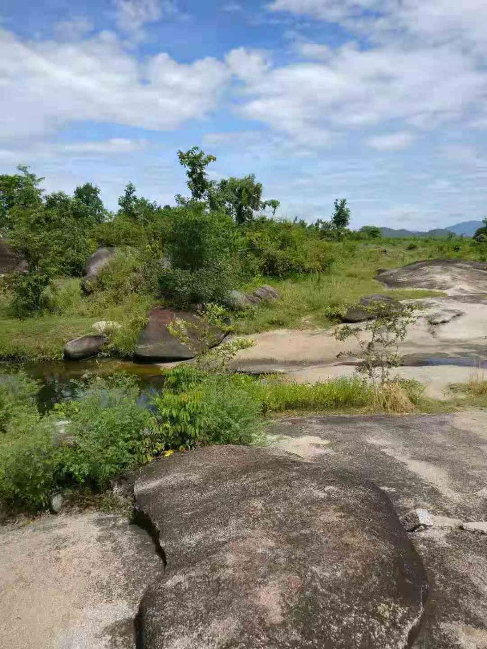 20191001_75272_1569905396003.jpg