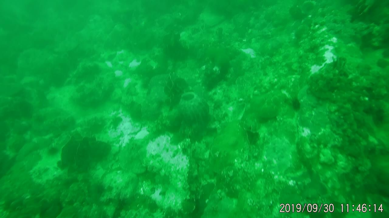 20191002972501569995335714186.jpg