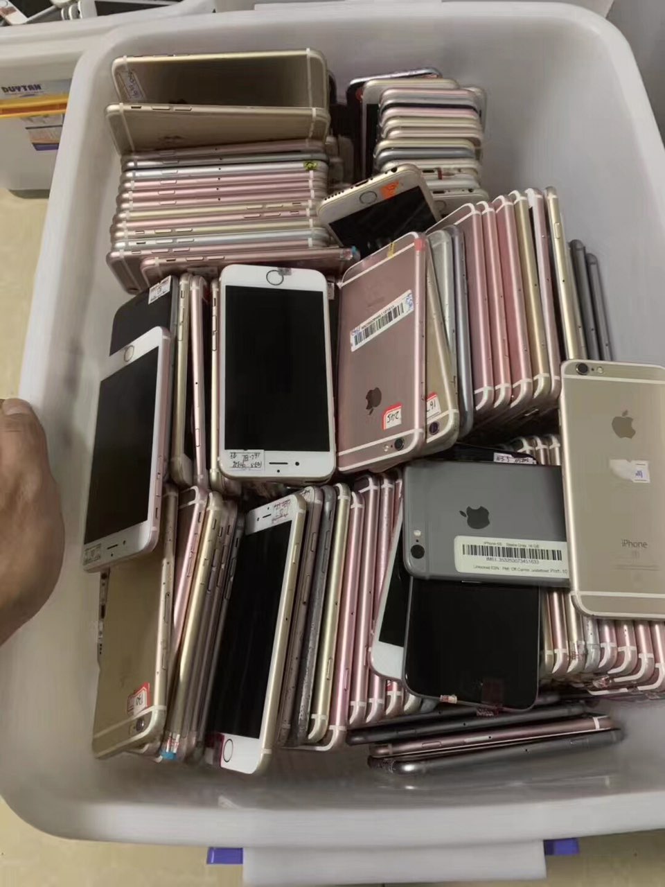 201910051566191570250644170879.jpg