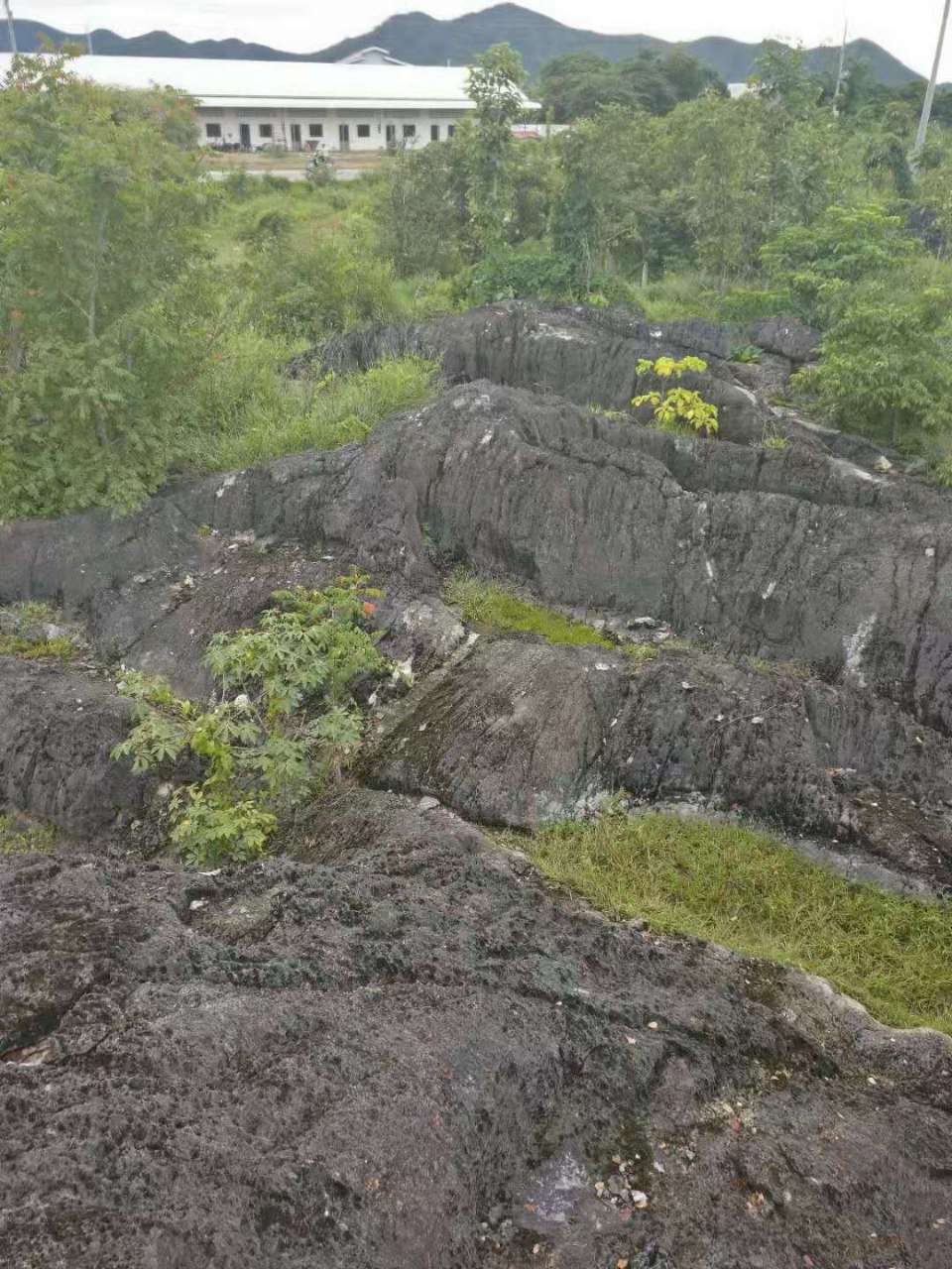 20191005_75272_1570283106468.jpg
