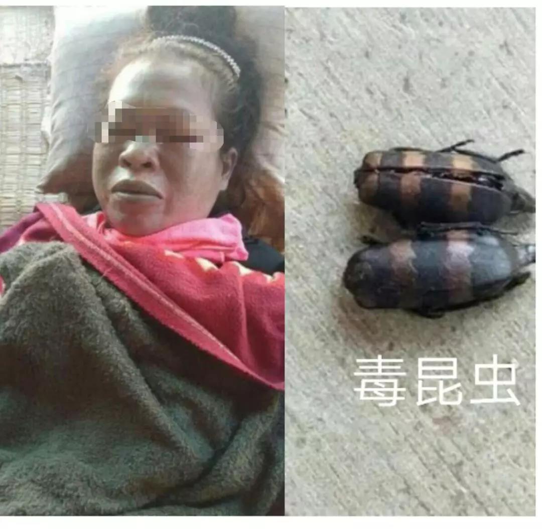微信图片_20191006120248.jpg