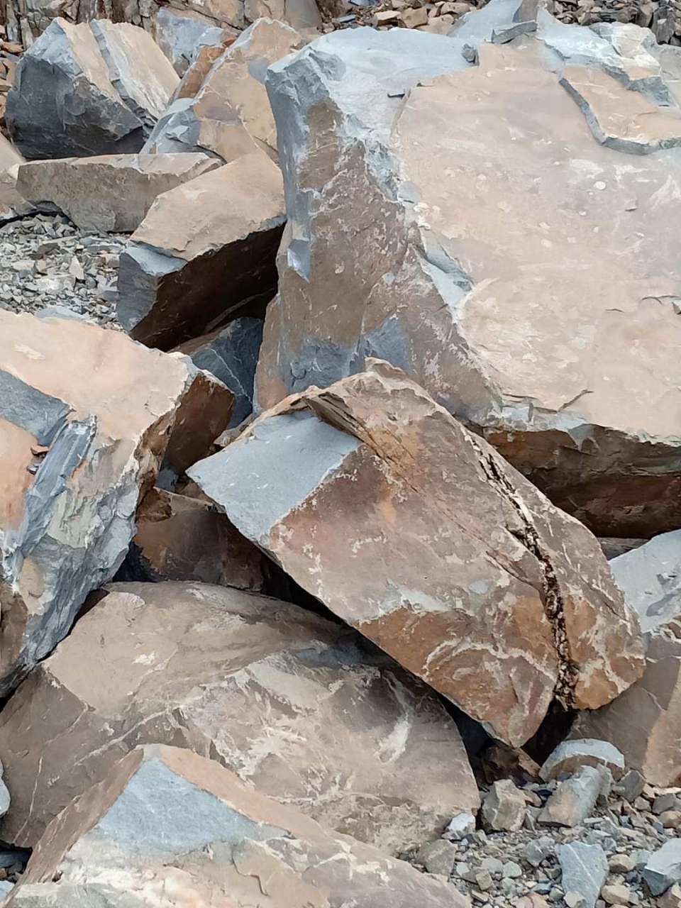 20191011_75272_1570774504998.jpg