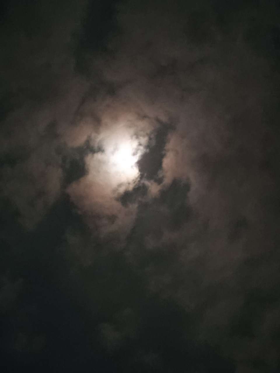 20191012_121398_1570844933904.jpg
