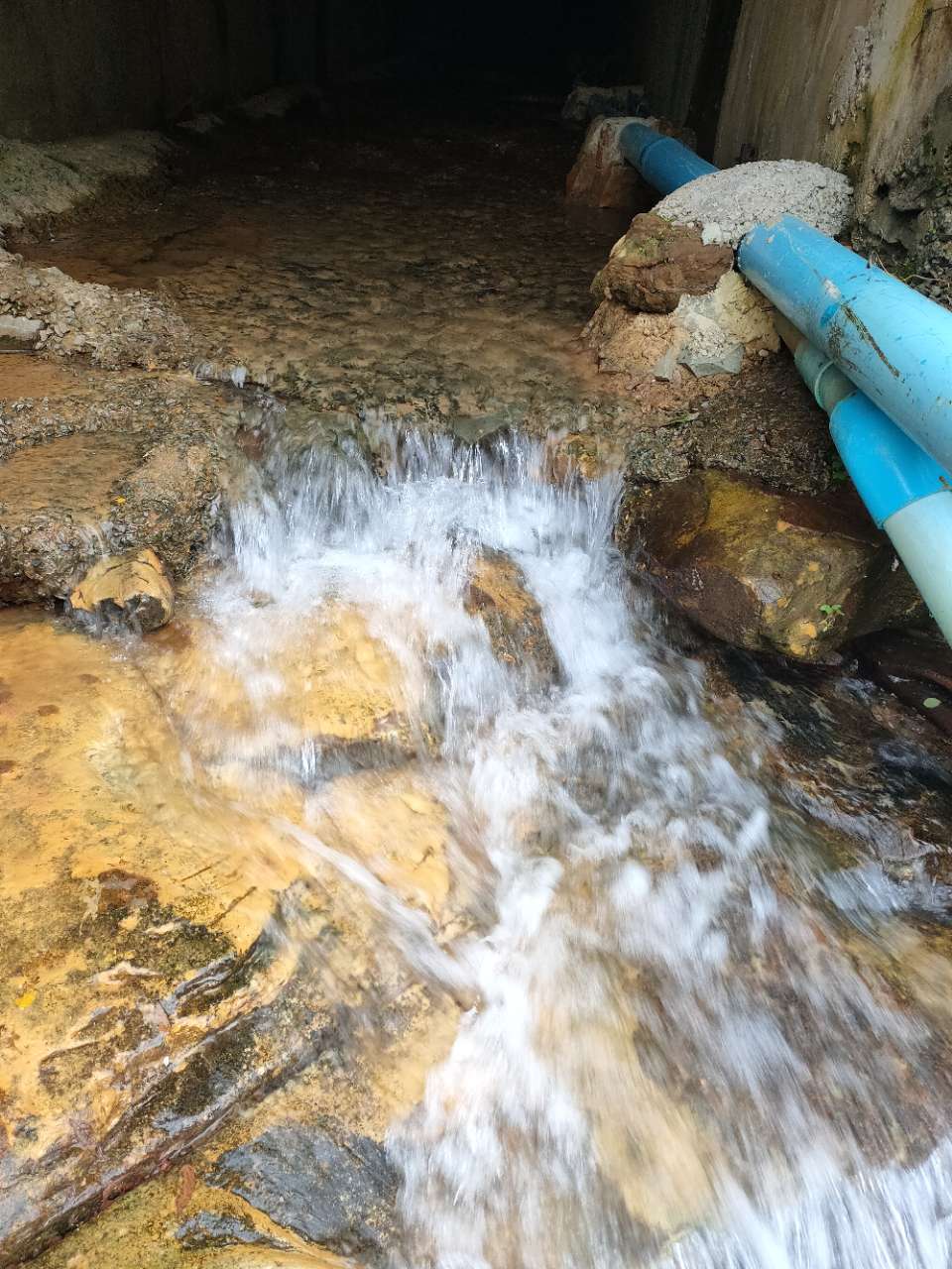 20191012_121398_1570844934173.jpg