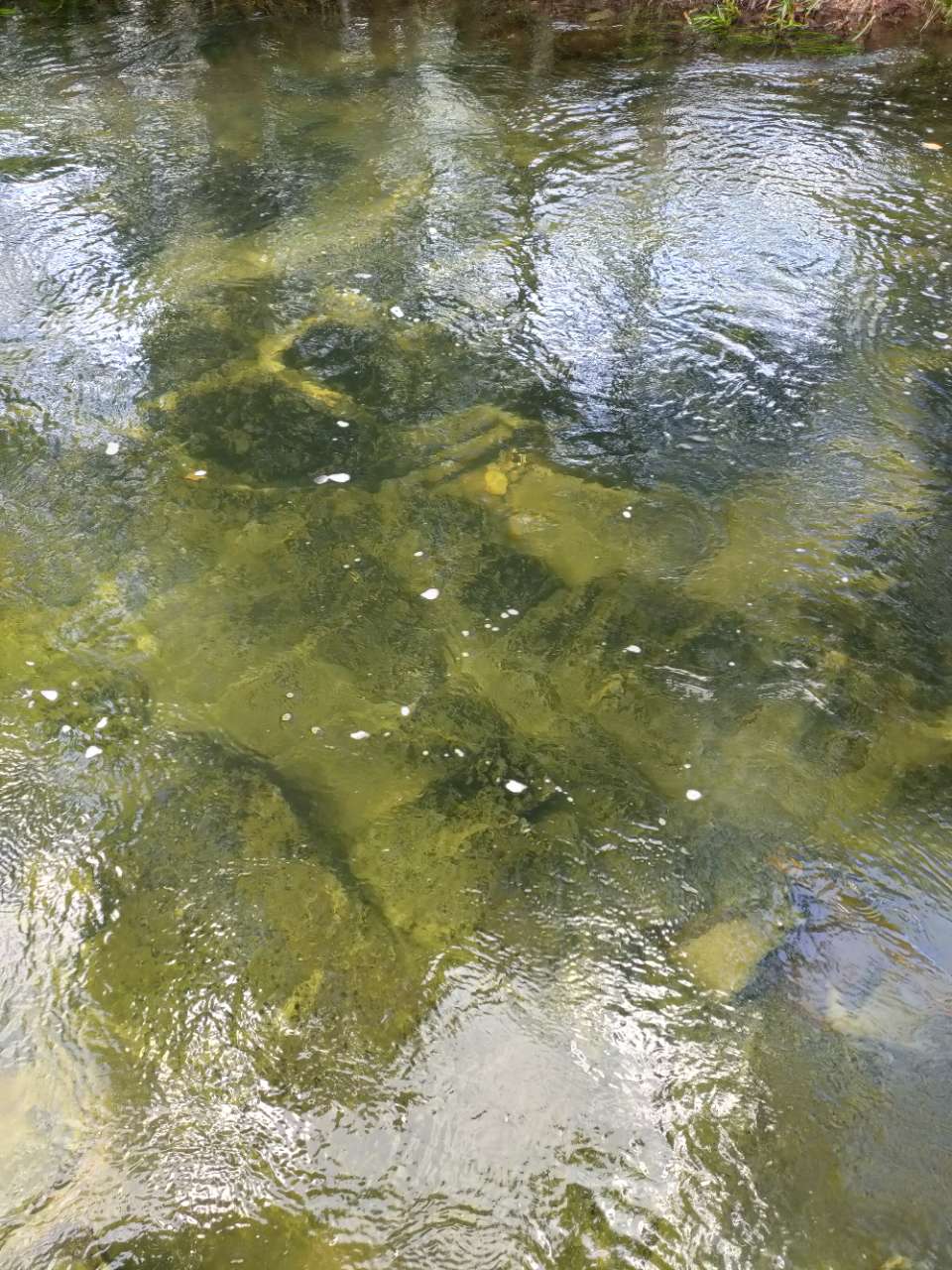 20191012_121398_1570844934417.jpg
