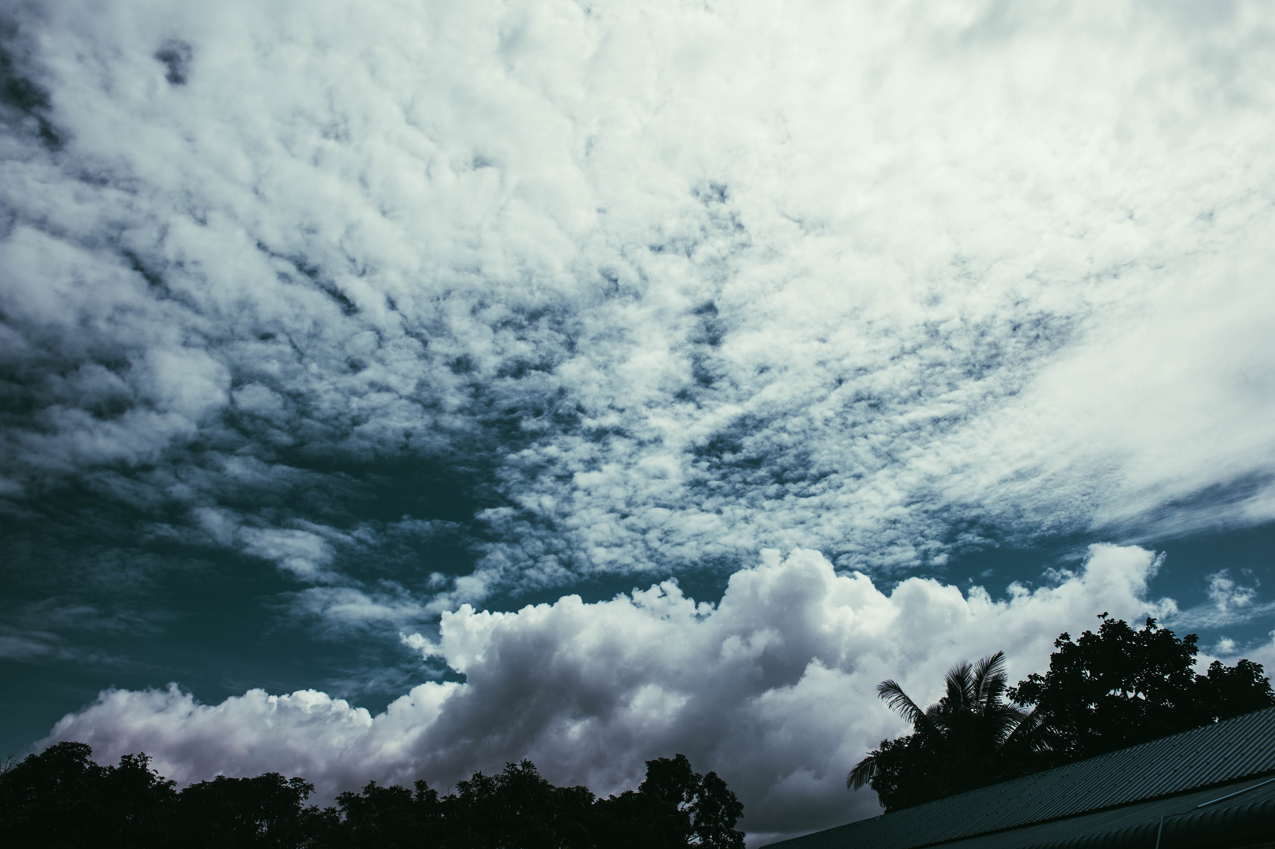 DSC_3454-2.JPG