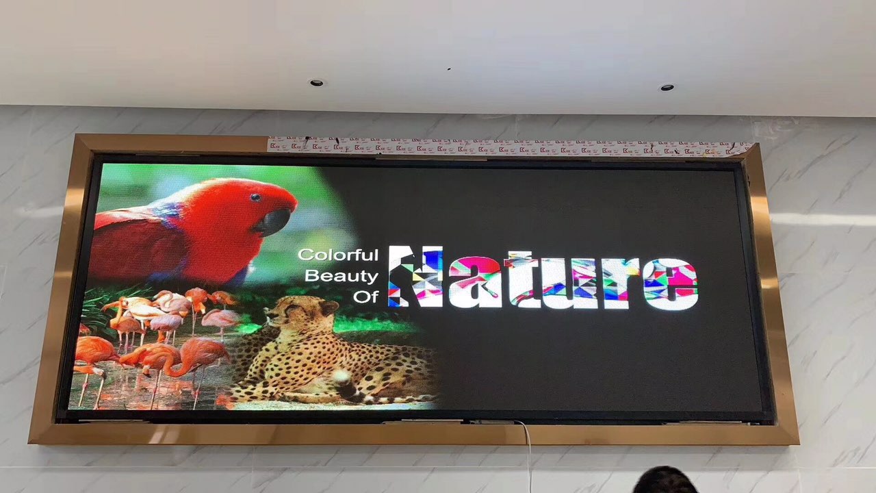201910141382621571020114239531.jpg