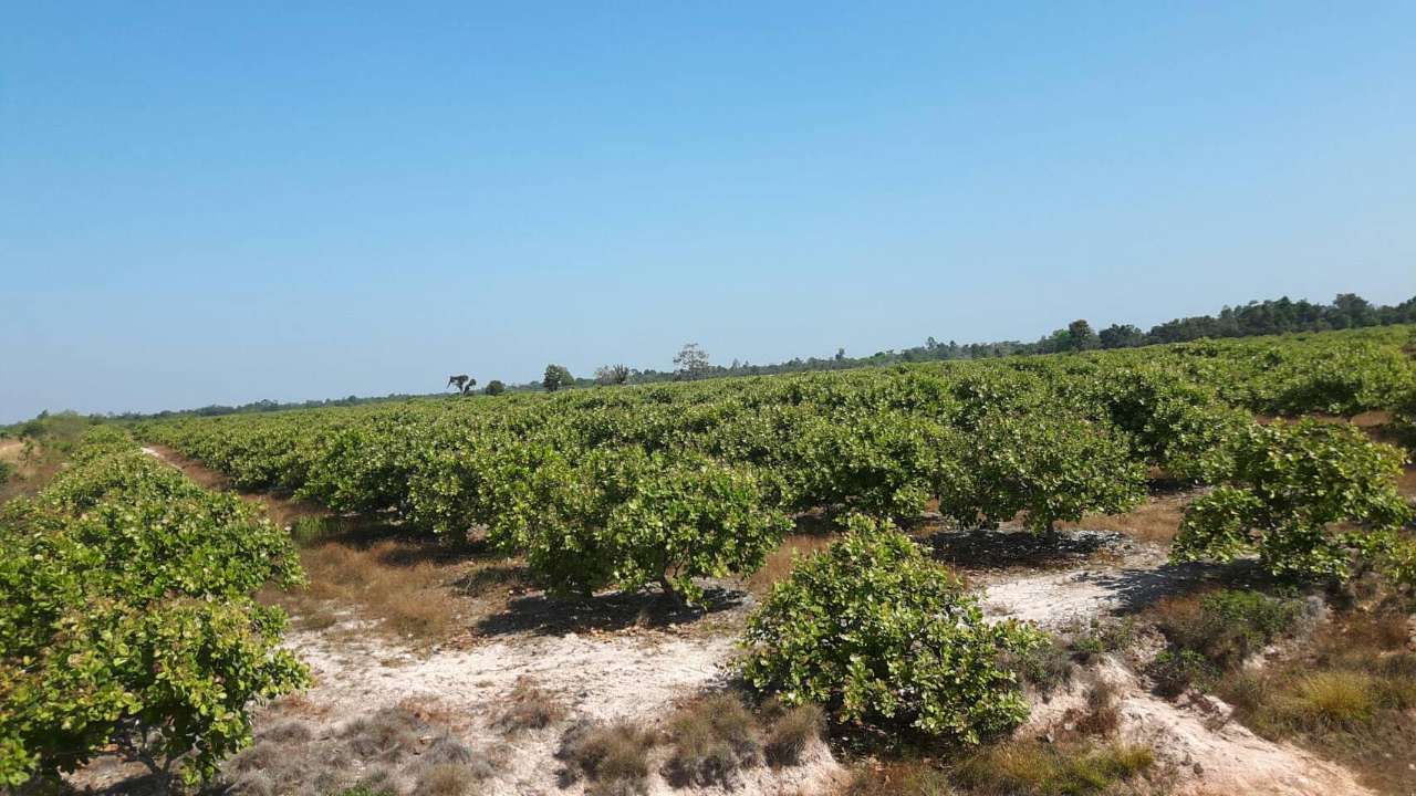 20191014_135217_1571023439750.jpg