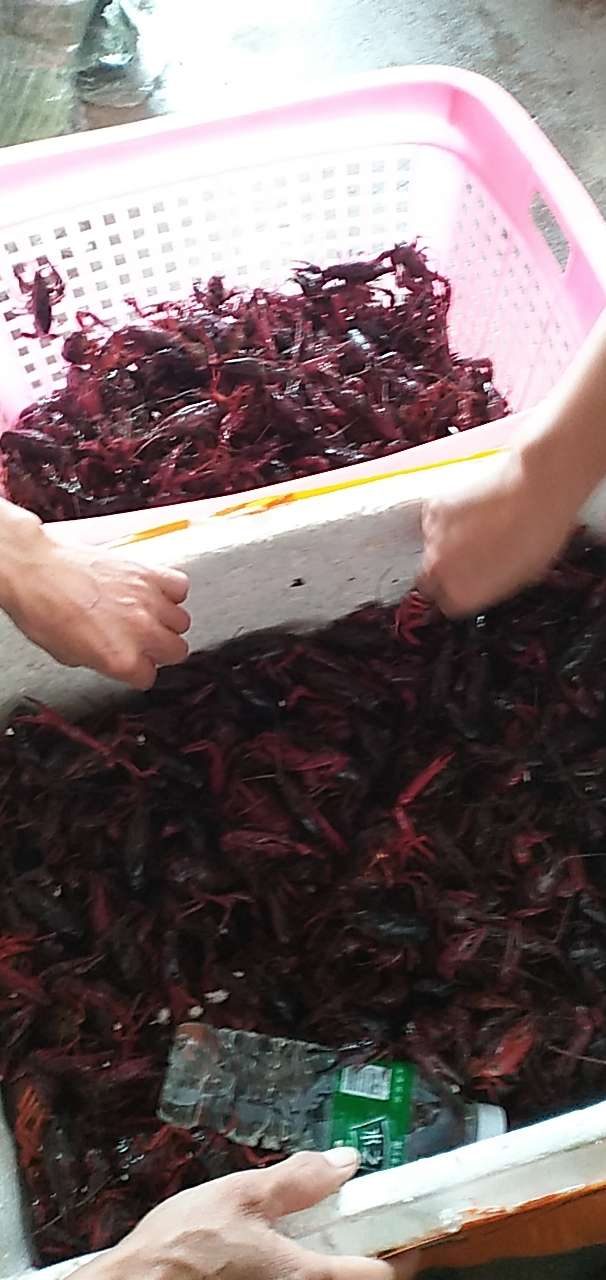 20191015_140903_1571155705371.jpg