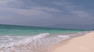 6401.gif