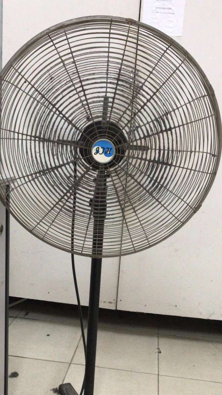 20191016_127698_1571222424337.jpg