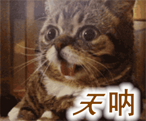 微信图片_20191017180204.gif