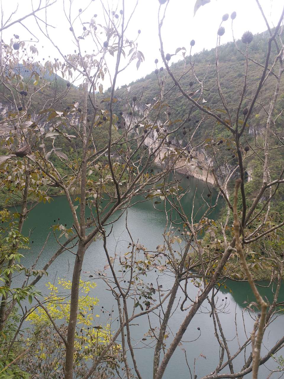 20191017_156241_1571326743371.jpg