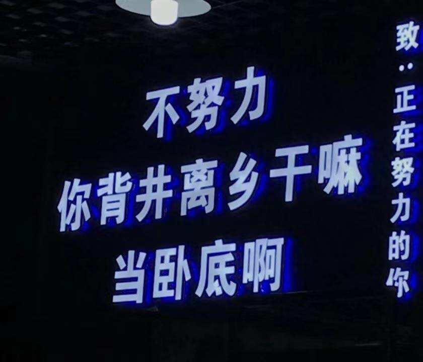 66.jpg