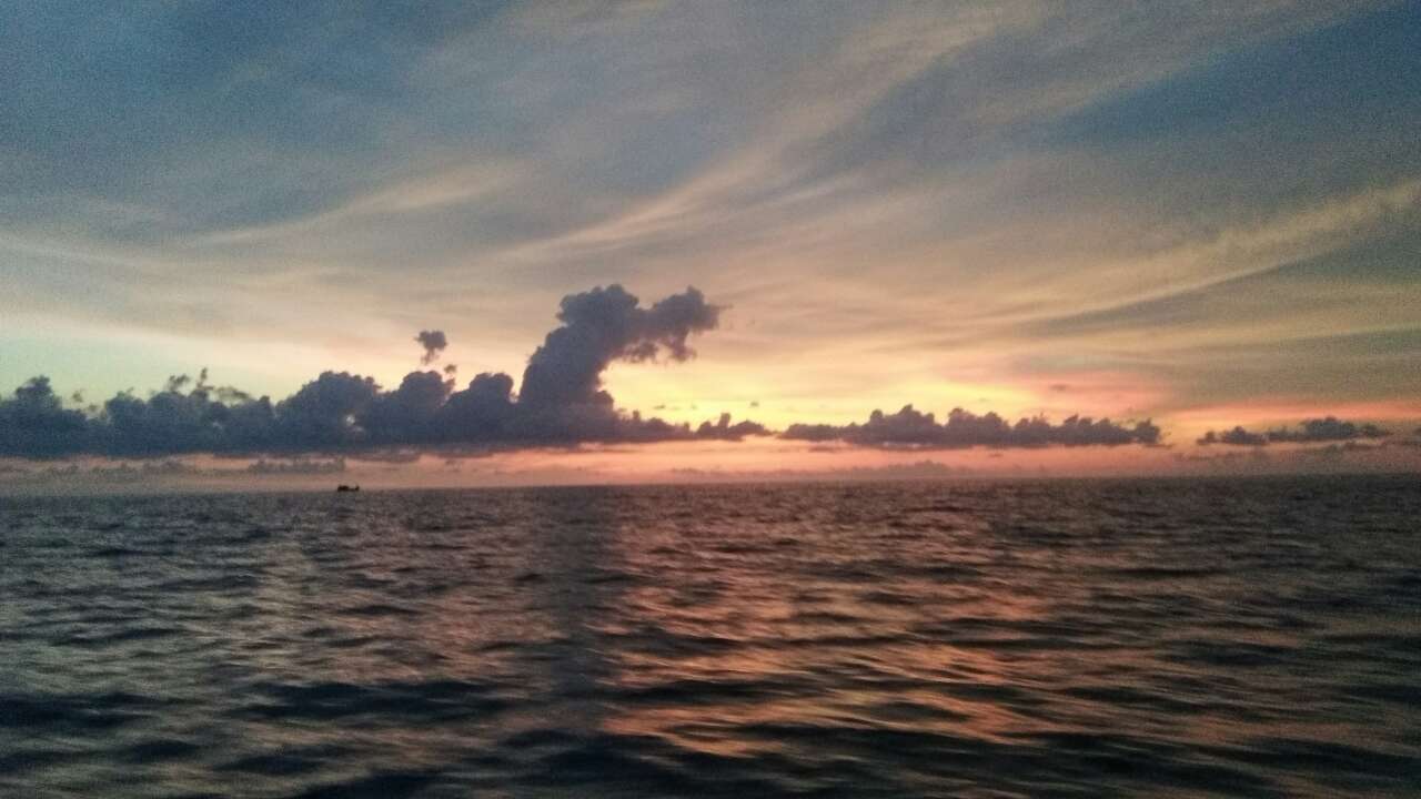 20191019_155822_1571451601990.jpg