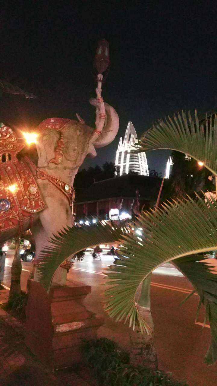 20191025_155305_1571937068152.jpg
