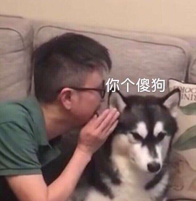 20191025788721571975308659259.jpg