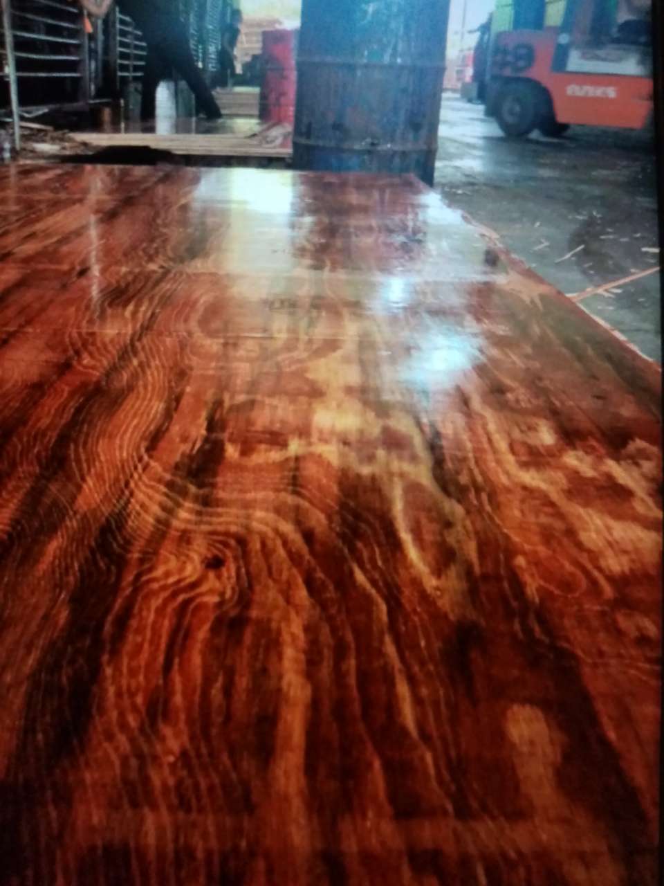 20191026_148736_1572066031653.jpg
