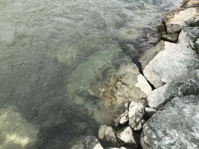 20191027_153059_1572143917744.jpg