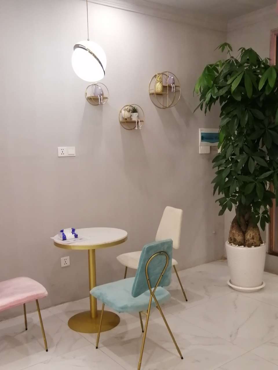 20191027_113047_1572180802141.jpg