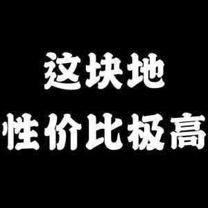 20191102_114440_1572632723411.jpg