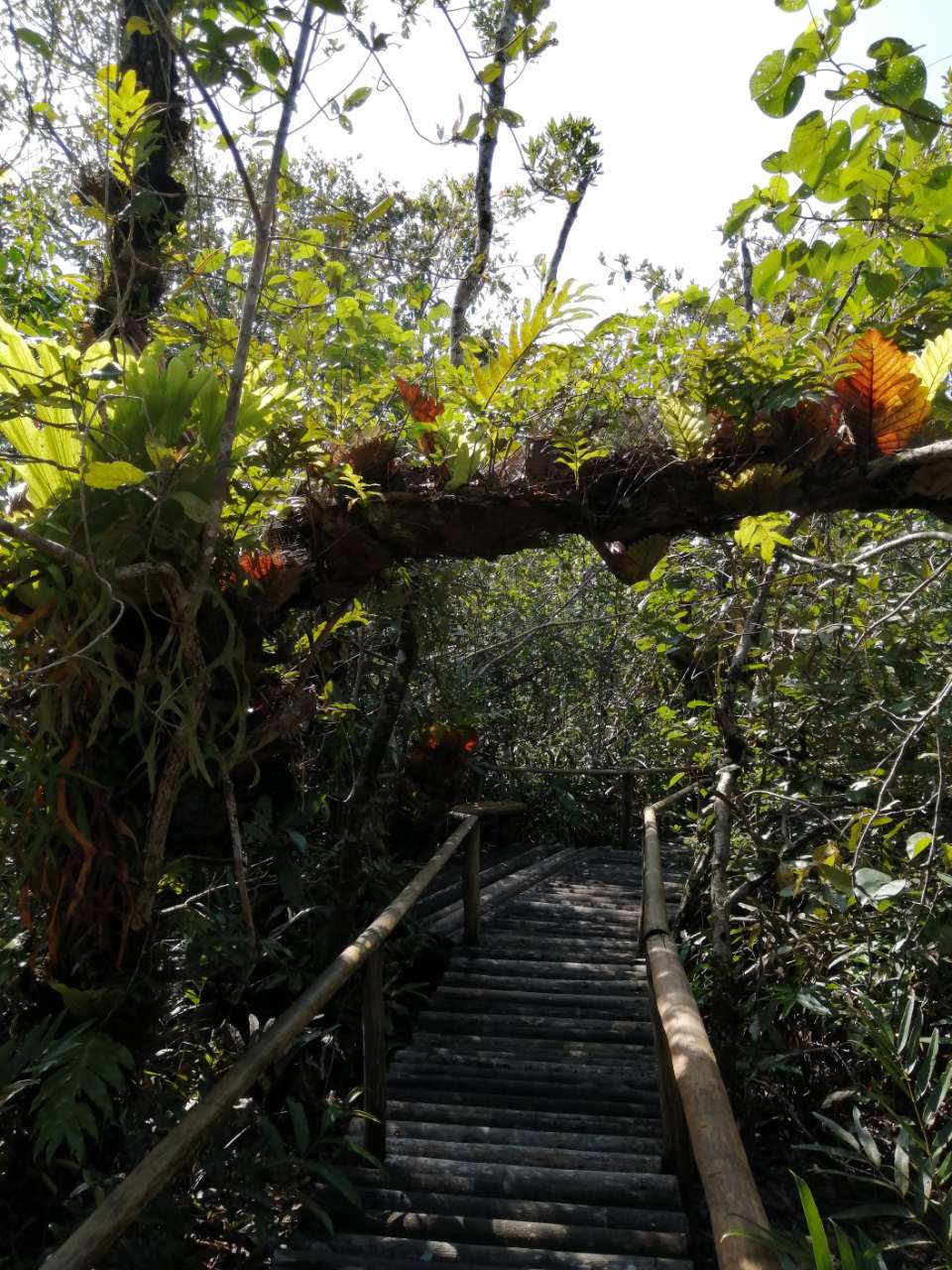 20191103_145621_1572737140129.jpg