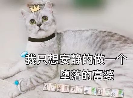 0.jpg